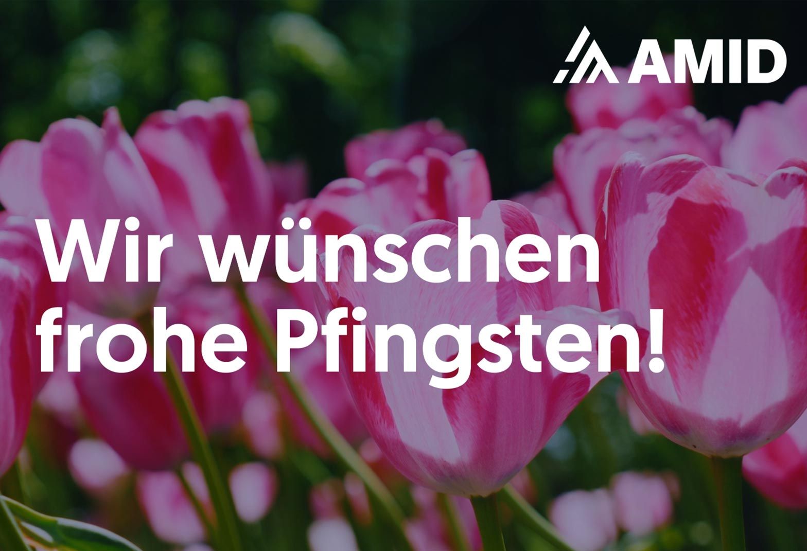 Pfingsten amid Firmenversicherungsmakler Hallenversicherung langerhallenversicherung frohe feiertage